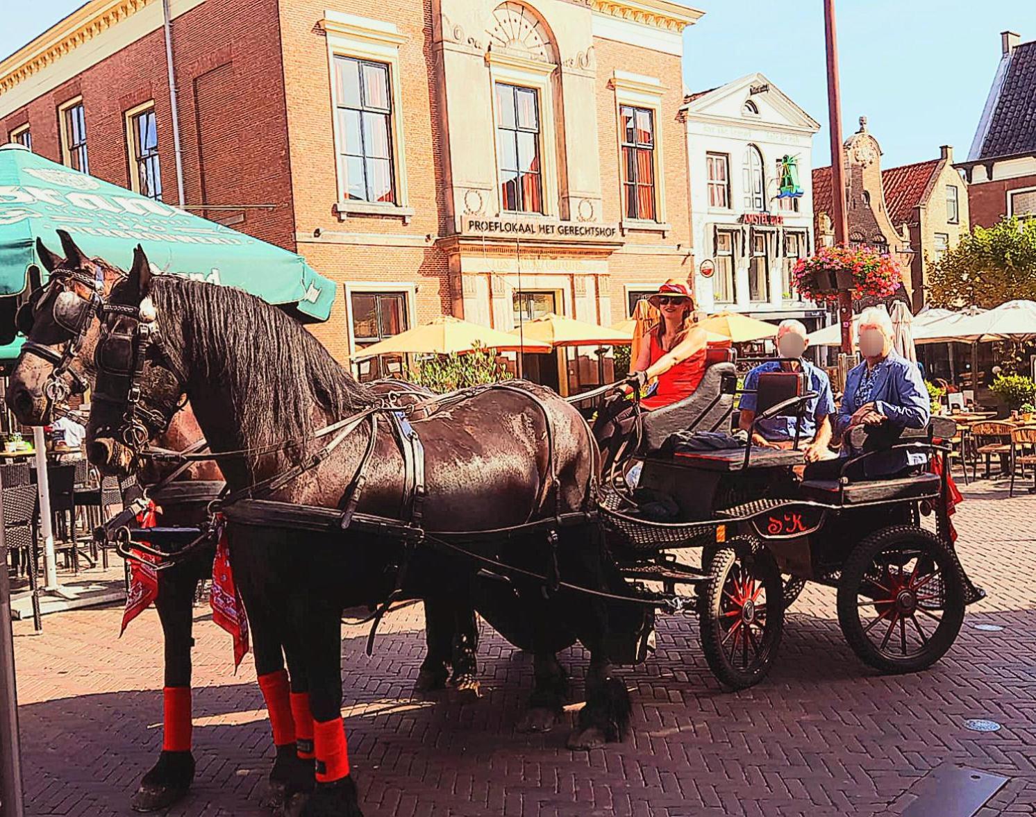 Stacaravan Op De Paardenboerderij Sneek Exterior foto